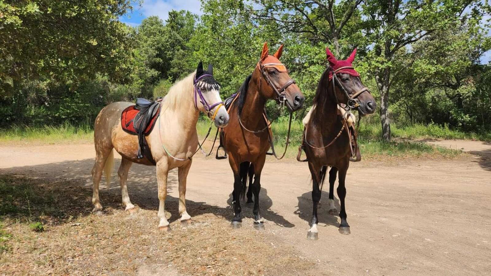 La Cabane Aux Chevaux Varages Zewnętrze zdjęcie