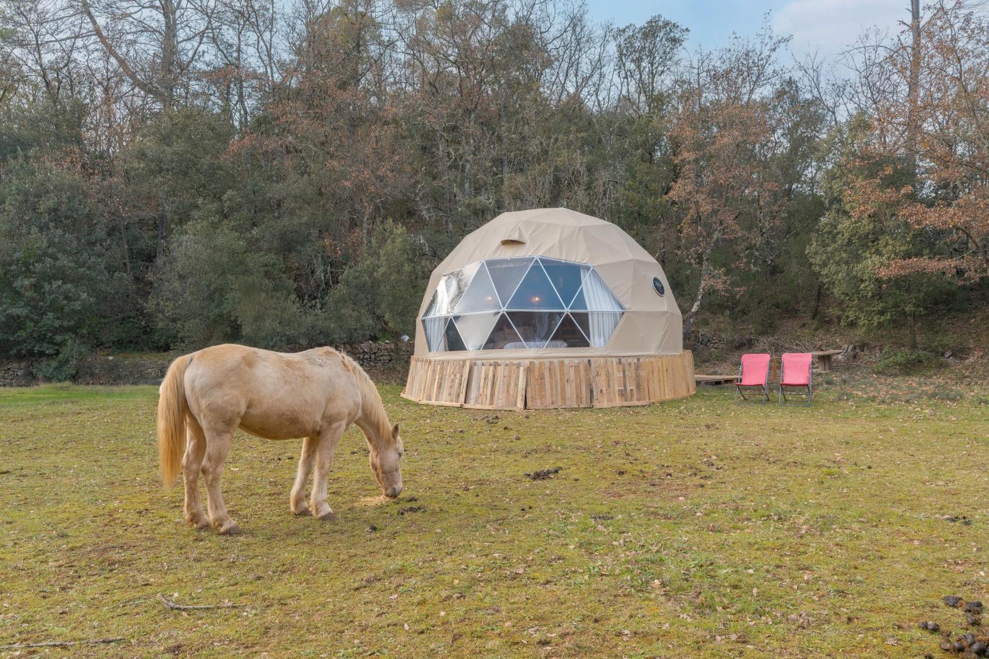 La Cabane Aux Chevaux Varages Zewnętrze zdjęcie