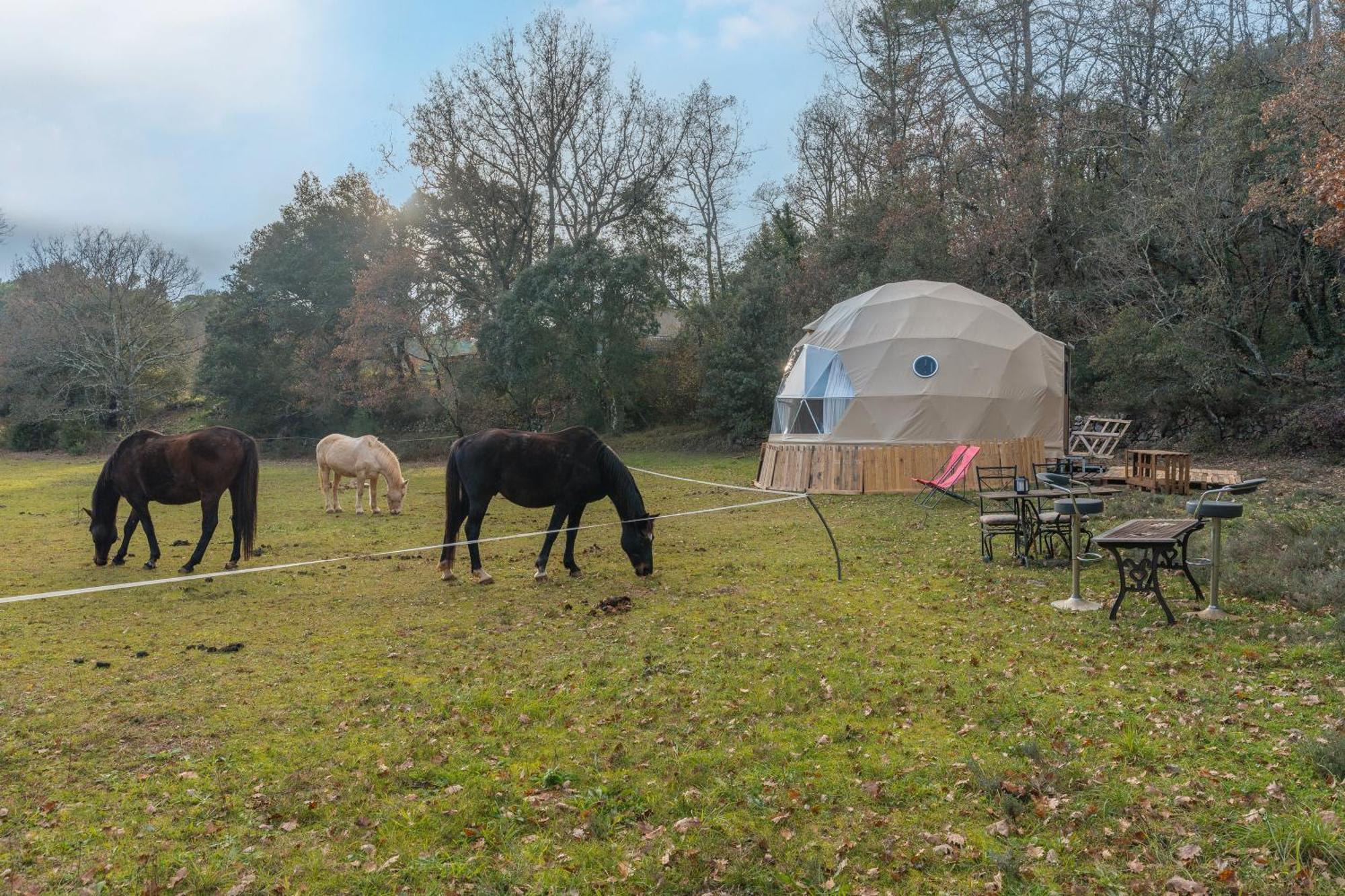 La Cabane Aux Chevaux Varages Zewnętrze zdjęcie